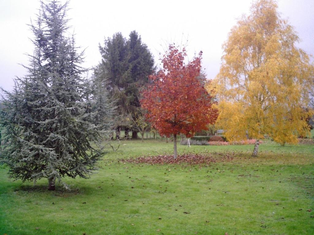 Au Jardin Fleuri Villa Vauxaillon Екстериор снимка