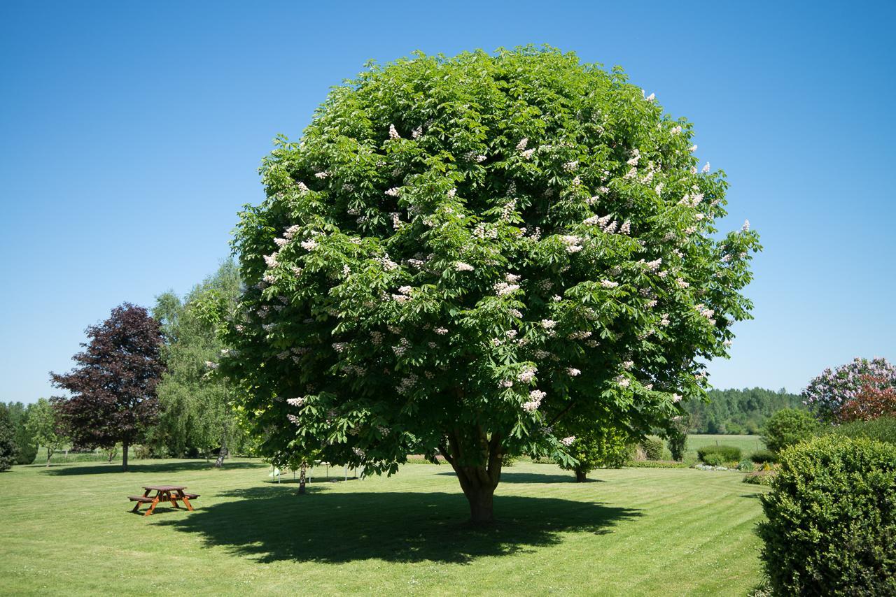Au Jardin Fleuri Villa Vauxaillon Екстериор снимка
