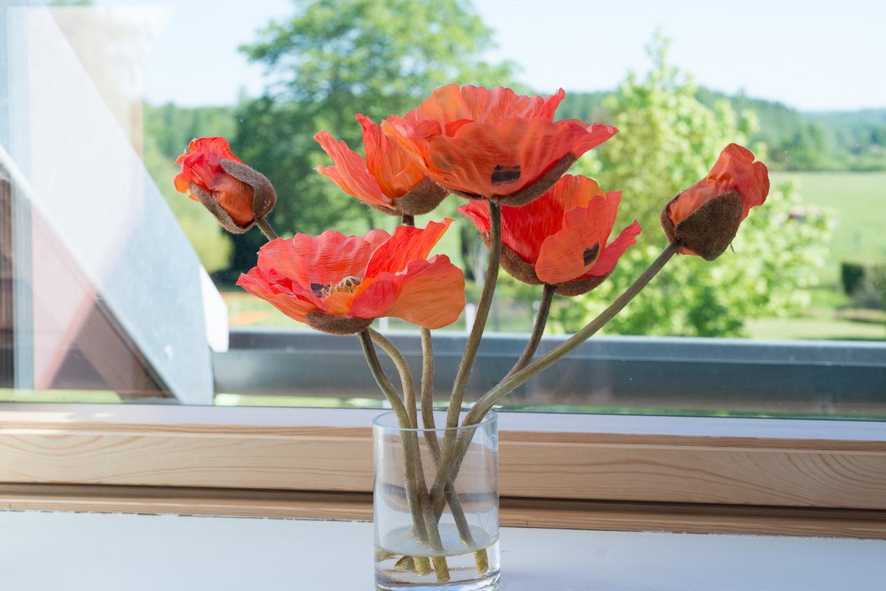 Au Jardin Fleuri Villa Vauxaillon Екстериор снимка